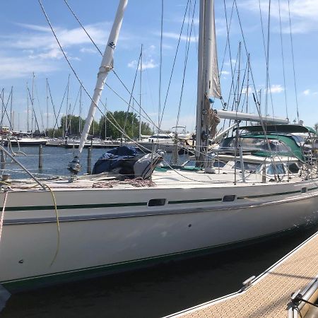 From September Lyra On The Go To Suriname Till 1 April 2026 Joint Captain Casey Medemblik Eksteriør billede